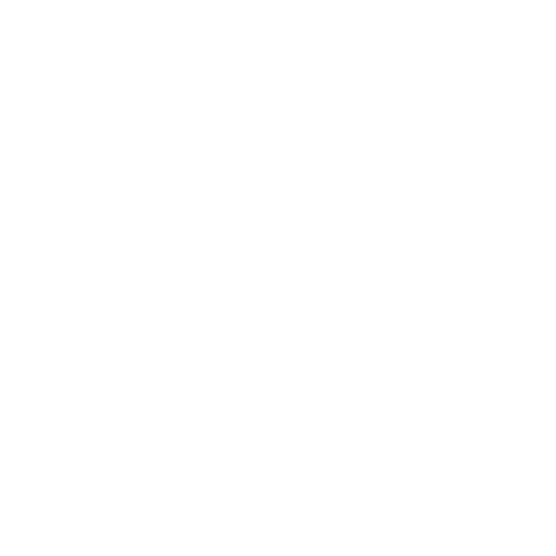 euro